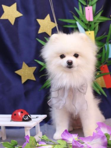 20230722波人くん